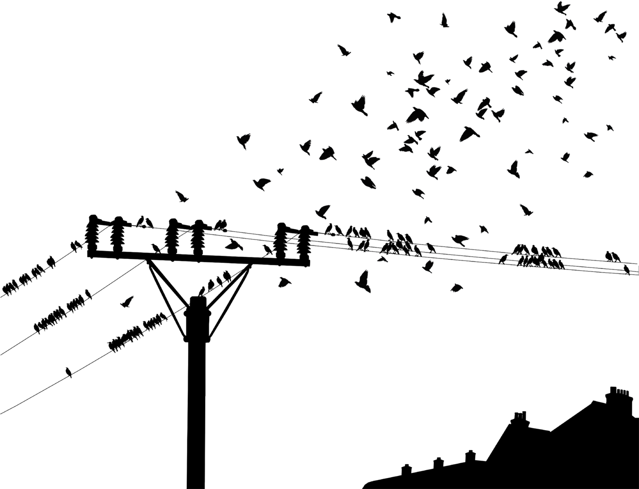 2025企业网络优化全案：低成本高并发配置方案与运维指南