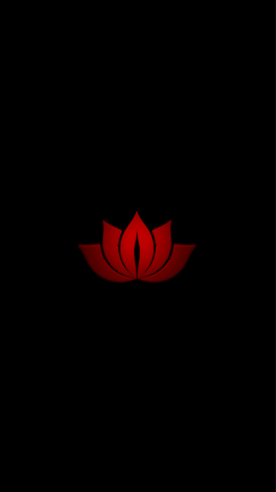 红莲社区安装包